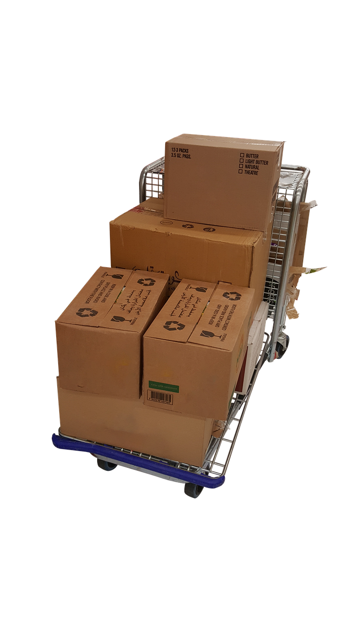 Cheapest Courier from India to the US