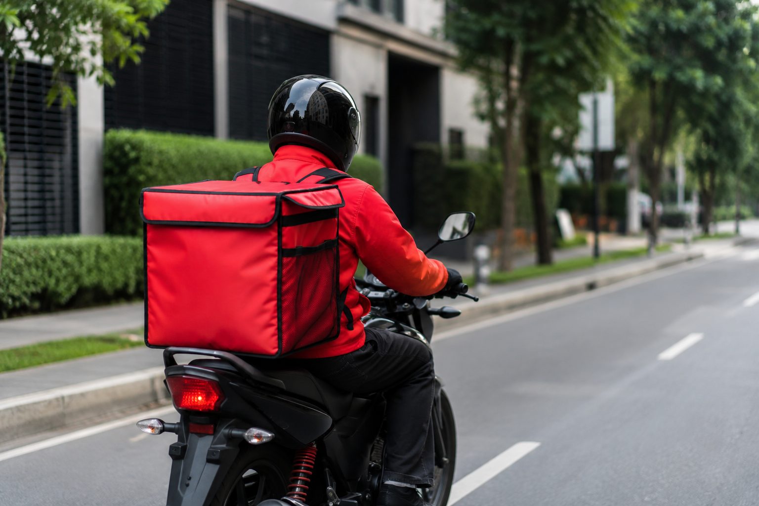 Best food courier service from Delhi to New York